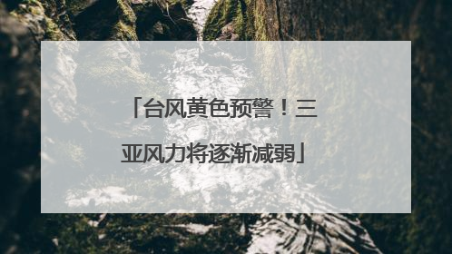 台风黄色预警！三亚风力将逐渐减弱