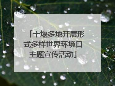 十堰多地开展形式多样世界环境日主题宣传活动