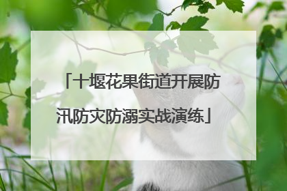 十堰花果街道开展防汛防灾防溺实战演练