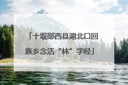 十堰郧西县湖北口回族乡念活“林”字经