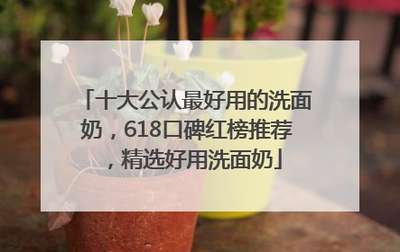 十大公认最好用的洗面奶，618口碑红榜推荐，精选好用洗面奶