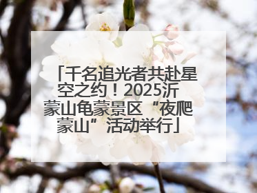 千名追光者共赴星空之约！2025沂蒙山龟蒙景区“夜爬蒙山”活动举行