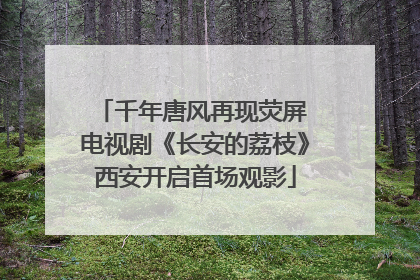 千年唐风再现荧屏 电视剧《长安的荔枝》西安开启首场观影