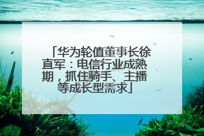 华为轮值董事长徐直军：电信行业成熟期，抓住骑手、主播等成长型需求