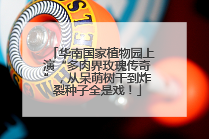 华南国家植物园上演“多肉界玫瑰传奇”，从呆萌树干到炸裂种子全是戏！