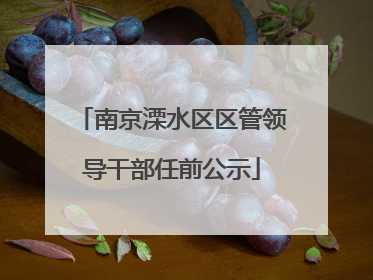 南京溧水区区管领导干部任前公示