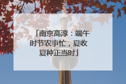 南京高淳：端午时节农事忙，夏收夏种正当时