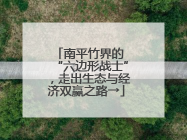 南平竹界的 “六边形战士”，走出生态与经济双赢之路→