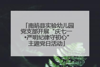 南靖县实验幼儿园党支部开展“庆七一•严明纪律守初心”主题党日活动