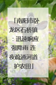 南阳市卧龙区石桥镇：迅速响应强降雨 连夜疏通河道护农田