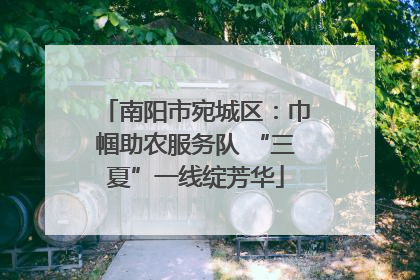 南阳市宛城区：巾帼助农服务队 “三夏”一线绽芳华