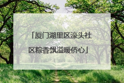 厦门湖里区濠头社区粽香飘溢暖侨心