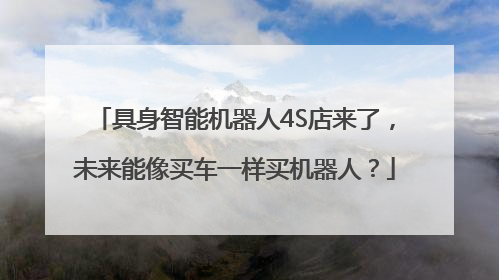具身智能机器人4S店来了，未来能像买车一样买机器人？