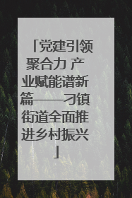 党建引领聚合力 产业赋能谱新篇——刁镇街道全面推进乡村振兴