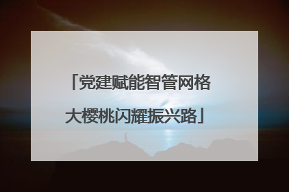 党建赋能智管网格 大樱桃闪耀振兴路