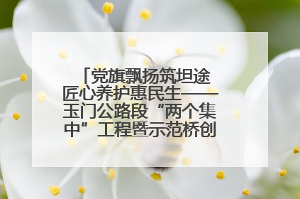 党旗飘扬筑坦途 匠心养护惠民生——玉门公路段“两个集中”工程暨示范桥创建项目圆满收官