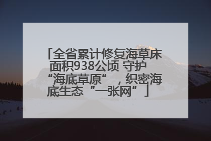 全省累计修复海草床面积938公顷 守护“海底草原”，织密海底生态“一张网”
