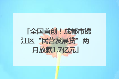 全国首创！成都市锦江区“民营发展贷”两月放款1.7亿元