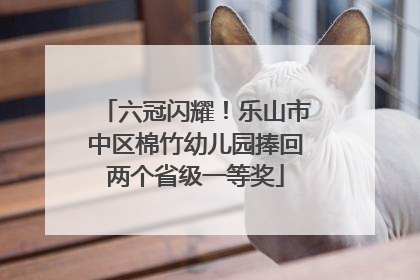 六冠闪耀！乐山市中区棉竹幼儿园捧回两个省级一等奖