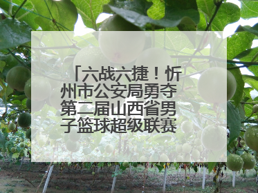 六战六捷！忻州市公安局勇夺第二届山西省男子篮球超级联赛忻州赛区市直职工组比赛冠军