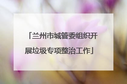 兰州市城管委组织开展垃圾专项整治工作