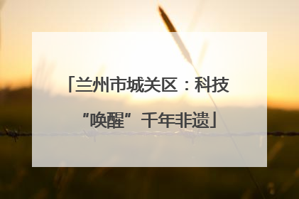 兰州市城关区：科技“唤醒”千年非遗