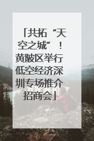 共拓“天空之城”！黄陂区举行低空经济深圳专场推介招商会