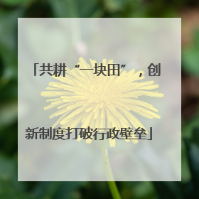 共耕“一块田”，创新制度打破行政壁垒