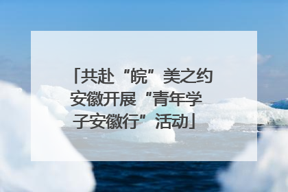 共赴“皖”美之约 安徽开展“青年学子安徽行”活动