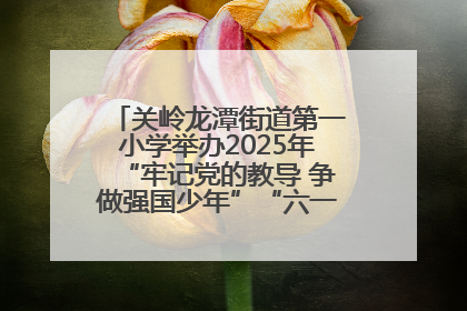 关岭龙潭街道第一小学举办2025年“牢记党的教导 争做强国少年”“六一”文艺汇演活动