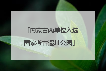 内蒙古两单位入选国家考古遗址公园
