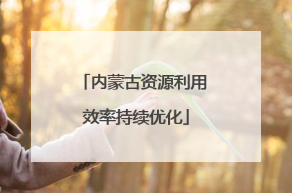 内蒙古资源利用效率持续优化