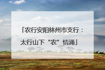 农行安阳林州市支行：太行山下“农”情涌
