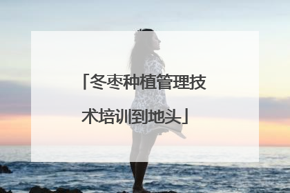 冬枣种植管理技术培训到地头