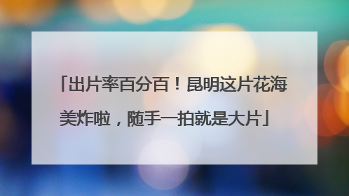 出片率百分百！昆明这片花海美炸啦，随手一拍就是大片