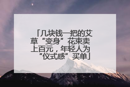 几块钱一把的艾草“变身”花束卖上百元，年轻人为“仪式感”买单