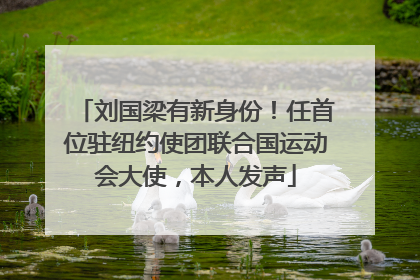 刘国梁有新身份！任首位驻纽约使团联合国运动会大使，本人发声