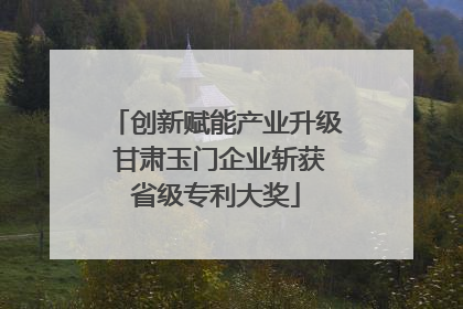 创新赋能产业升级 甘肃玉门企业斩获省级专利大奖