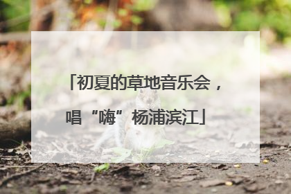 初夏的草地音乐会，唱“嗨”杨浦滨江