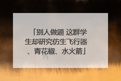 别人做题 这群学生却研究仿生飞行器、青花椒、水火箭