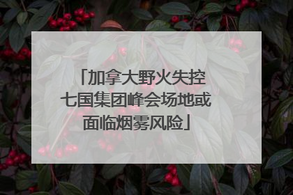 加拿大野火失控 七国集团峰会场地或面临烟雾风险
