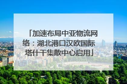 加速布局中亚物流网络：湖北港口汉欧国际塔什干集散中心启用