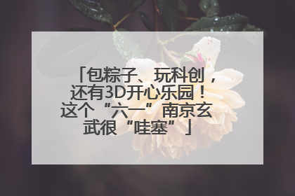 包粽子、玩科创，还有3D开心乐园！这个“六一”南京玄武很“哇塞”