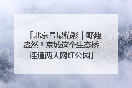 北京号最精彩｜野趣盎然！京城这个生态桥连通两大网红公园
