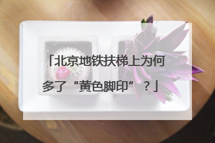 北京地铁扶梯上为何多了“黄色脚印”？