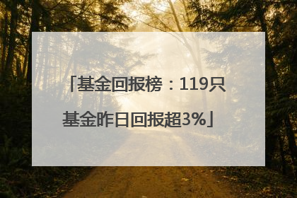 基金回报榜：119只基金昨日回报超3%