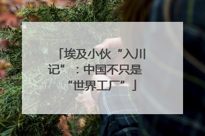 埃及小伙“入川记”：中国不只是“世界工厂”