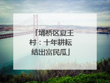 埇桥区夏王村：十年耕耘结出富民瓜