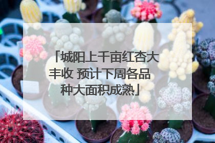城阳上千亩红杏大丰收 预计下周各品种大面积成熟