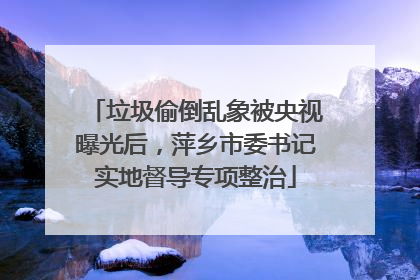 垃圾偷倒乱象被央视曝光后，萍乡市委书记实地督导专项整治